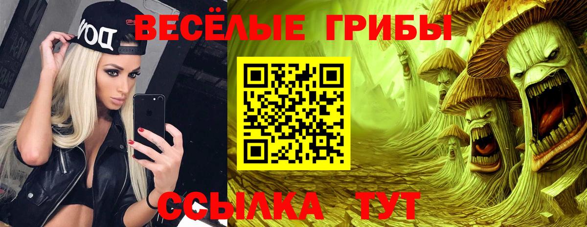 где найти наркотики  Вход с VPN  Галлюциногенные грибы Psilocybine cubensis  Гурьевск  Галлюциногенные грибы MAGIC MUSHROOMS 